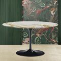 Tulip Eero Saarinen H 41 Ovalt sofabord med Calacatta guldmarmorplade - Scarlet