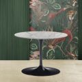 Tulip Saarinen H 39 Ovalt sofabord med plade i Carrara Marmor Statuarietto - Scarlet