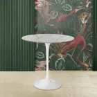 Tulip Saarinen H 52 Oval Sofabord i Carrara Statuarietto Marble Made in Italy - Scarlet Viadurini