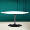 Tulip Saarinen Oval Sofabord H 41 i Absolut hvid Made in Italy - Scarlet