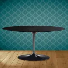 Tulip Saarinen Oval Sofabord H 41 i Sirius Keramik Made in Italy - Scarlet Viadurini