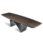 Udtræksbord 200/300x100 i Eg Finer og Metal - Kryds Viadurini