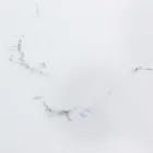 Udtrækkeligt Spisebord 240 cm Glas- og Keramikplade - Barone Viadurini