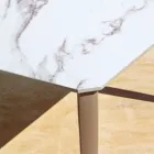 Udtrækkeligt udendørs spisebord 318 cm i aluminium og stentøj - Filomena Viadurini