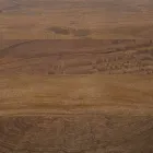 Homemotion rundt spisebord med mangotræplade - Rondolo Viadurini