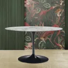 Eero Saarinen Tulip Table H 73 med oval top i Arabescato-marmor fremstillet i Italien - Scarlet Viadurini