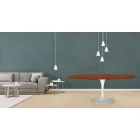 Tulip Table Eero Saarinen H 73 Oval i kirsebærbejdset eg Made in Italy - Scarlet Viadurini