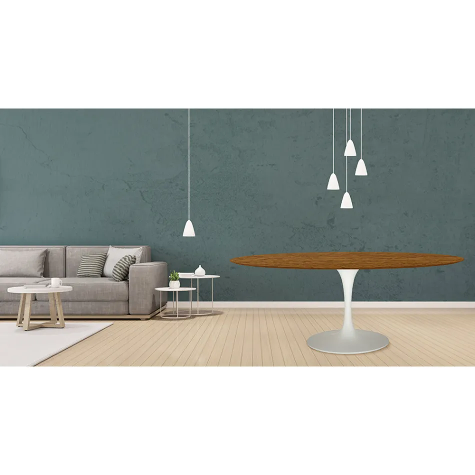 Eero Saarinen Tulip Table H 73 Oval i lys valnøddebejdset eg fremstillet i Italien - Scarlet Viadurini