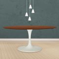 Eero Saarinen Tulip Table H 74 Oval i mørk valnøddebejdset eg fremstillet i Italien - Scarlet