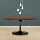 Eero Saarinen Tulip Table H 73 Oval i mørk valnøddebejdset eg fremstillet i Italien - Scarlet Viadurini