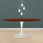 Eero Saarinen Tulip Table H 73 Oval i palisanderbejdset eg fremstillet i Italien - Scarlet Viadurini