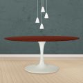 Eero Saarinen Tulip Table H 74 Oval i palisanderbejdset eg fremstillet i Italien - Scarlet