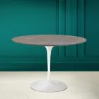 Tulipanbord Eero Saarinen H 73 Rundt i keramik Pietra Grey Made in Italy - Scarlet Viadurini
