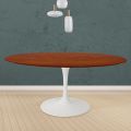 Tulip Table Eero Saarinen H 74 Round i kirsebærbejdset eg fremstillet i Italien - Scarlet