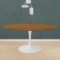 Eero Saarinen Tulip Table H 74 Round i Eg Bejdset Lys Valnød Made in Italy - Scarlet