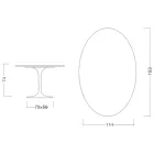 Eero Saarinen Tulip Table H 74 med oval top i Arabescato-marmor fremstillet i Italien - Scarlet Viadurini