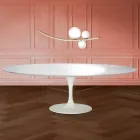 Eero Saarinen Tulip-bord H 74 ovalt i flydende laminat, fremstillet i Italien - skarlagenrød Viadurini