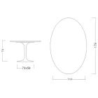 Eero Saarinen H 74 Oval Tulip Table i grøn Alpi-marmor fremstillet i Italien - Scarlet Viadurini