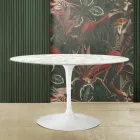 Tulip Table Saarinen H 73 med oval top i Carrara-marmor lavet i Italien - Scarlet Viadurini