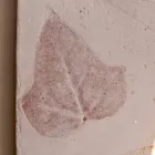 Toscot Vivaldi terracotta væglampe lavet i Italien Viadurini