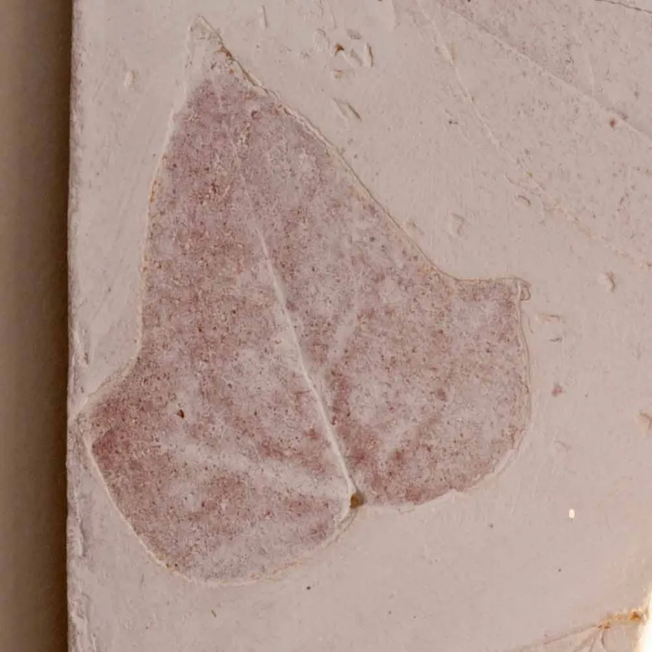 Toscot Vivaldi terracotta væglampe lavet i Italien Viadurini