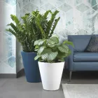 Rund farvet polyethylen dekorativ vase lavet i Italien - Mengo Viadurini