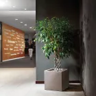 Vase i farvet polyethylen kubisk form lavet i Italien - Tonello Viadurini