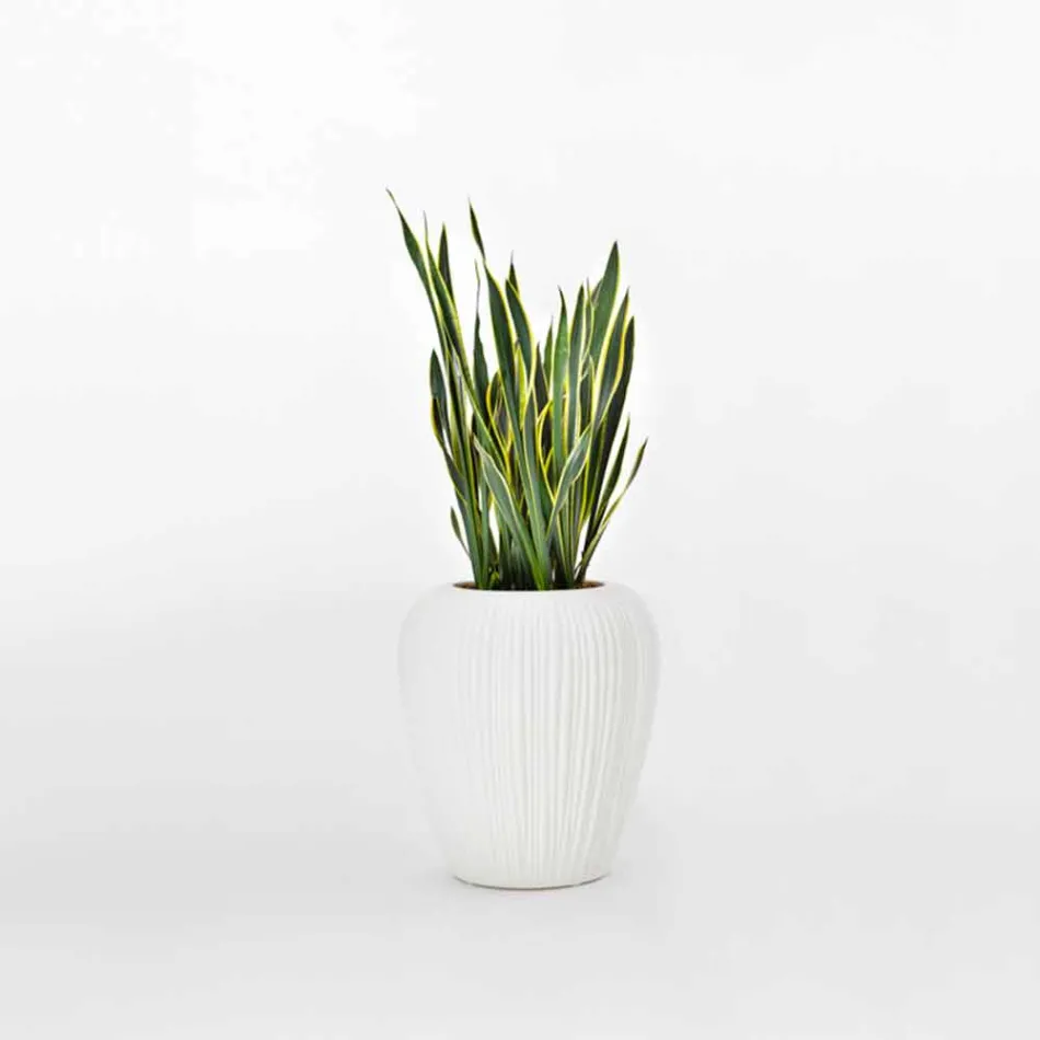 Moderne design lysende udendørs vase i polyethylen, 2 stykker - hud af Myyour Viadurini