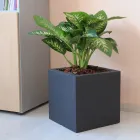 Potte eller firkantet havedeler Tre farver lavet i Italien - planter Viadurini