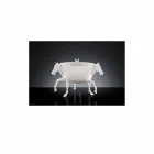 Indendørs dekorativ vase i hvid keramik eller 24 k guld fremstillet i Italien - Jacky Viadurini