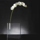 Moderne gennemsigtig plexiglasblomstervase lavet i Italien - unik Viadurini